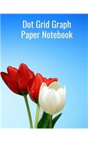Dot Grid Graph Paper Notebook