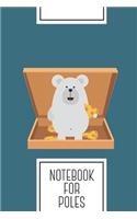 Notebook for Poles