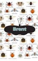 Brent: Bug Insect Isometric Dot Pape Book Notebook Journal Book 120 Pages 6x9