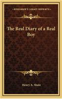 The Real Diary of a Real Boy: (English)