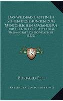 Das Wildbad Gastein In Seinen Beziehungen Zum Menschlichen Organismus: Und Die Neu Errichtete Filial-Bad-Anstalt Zu Hof-Gastein (1832)