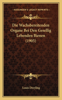 Wachsbereitenden Organe Bei Den Gesellig Lebenden Bienen (1905)