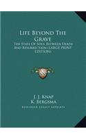 Life Beyond the Grave