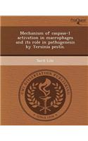 Mechanism of Caspase-1 Activation in Macrophages and Its Role in Pathogenesis by Yersinia Pestis