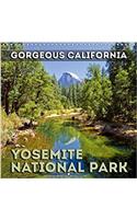 Gorgeous California Yosemite National Park 2018