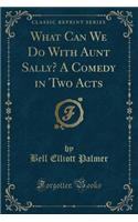 What Can We Do with Aunt Sally? a Comedy in Two Acts (Classic Reprint)