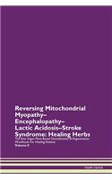 Reversing Mitochondrial Myopathy-Encephalopathy-Lactic Acidosis-Stroke Syndrome: Healing Herbs The Raw Vegan Plant-Based Detoxification & Regeneration Workbook For Healing Patients Volume 8