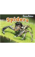 Spiders (Creepy Critters)