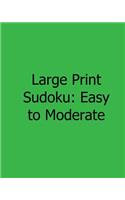 Large Print Sudoku