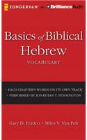 Basics of Biblical Hebrew Vocabulary