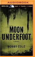 Moon Underfoot