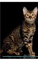 Toyger Cat Affirmations Workbook Toyger Cat Presents: Positive and Loving Affirmations Workbook. Includes: Mentoring Questions, Guidance, Supporting You.