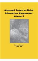 Advanced Topics in Global Information Management, Volume 5