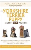 Your Yorkshire Terrier Puppy Month by Month