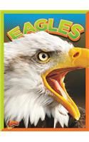 Eagles