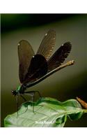 Note Book: Dragonfly Landing, Insect of the Water and Air, Writing Book, Wide Ruled, 200 Paged 7.44 X 9.69,
