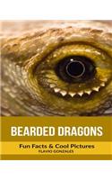 Bearded Dragons: Fun Facts & Cool Pictures