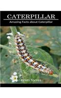 Amazing Facts about Caterpillar