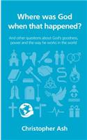 Where was God when that happened?: And Other Questions about God's Goodness, Power and the Way He Works in the World