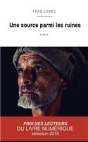 Une source parmi les ruines