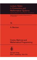 Cones, Matrices and Mathematical Programming