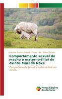 Comportamento Sexual Do Macho E Materno-Filial de Ovinos Morada Nova