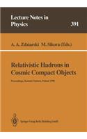 Relativistic Hadrons in Cosmic Compact Objects