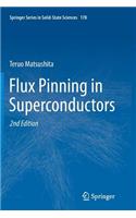 Flux Pinning in Superconductors