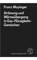 Strömung Und Wärmeübergang in Gas-Flüssigkeits-Gemischen