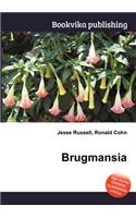 Brugmansia: (English)