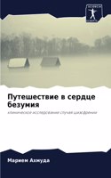 &#1055;&#1091;&#1090;&#1077;&#1096;&#1077;&#1089;&#1090;&#1074;&#1080;&#1077; &#1074; &#1089;&#1077;&#1088;&#1076;&#1094;&#1077; &#1073;&#1077;&#1079;&#1091;&#1084;&#1080;&#1103;