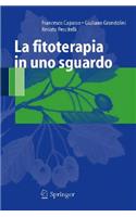 La Fitoterapia in Uno Sguardo