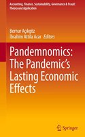 Pandemnomics: The Pandemic's Lasting Economic Effects