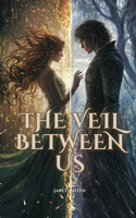 The Veil Between Us: Where Passion Breaks Every Boundary