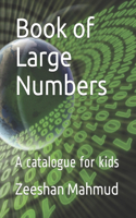 Book of Large Numbers