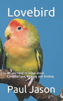 Lovebird: All you need to know about Lovebird care, housing and feeding