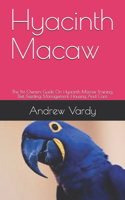 Hyacinth Macaw