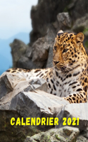 Calendrier 2021: Calendrier mensuel 2021 du lundi au dimanche avec des images de magnifiques animaux sauvages