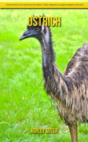 Ostrich