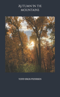Autumn in the Mountains
