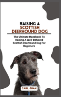 Scottish Deerhound Dog