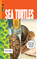 Sea Turtles