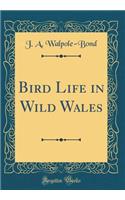 Bird Life in Wild Wales (Classic Reprint)