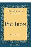 Pig Iron (Classic Reprint)