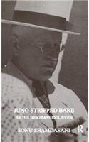 Jung Stripped Bare