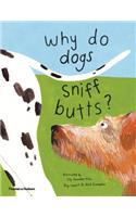Why Do Dogs Sniff Butts?