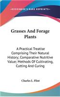 Grasses And Forage Plants