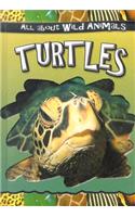 Turtles