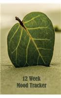 12 Week Mood Tracker: One Page Per Day