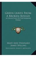 Green Leaves from a Broken Bough